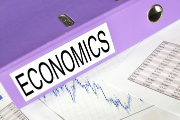 ECONOMICS  folder on a market report
