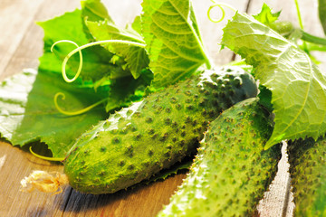 Cucumber on wooden table