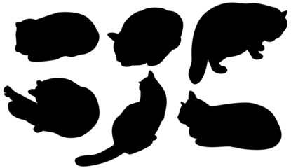 Set of cats silhouettes