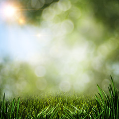 Fototapeta na wymiar Abstract summer backgrounds with green grass and sun beam