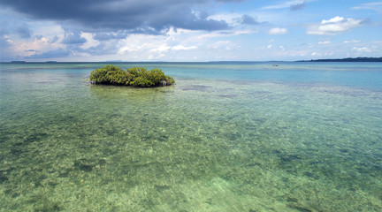 Panorama over a lagoon with a small mangrove islet, Caribbean sea, Bocas del Toro, Panama, Central America