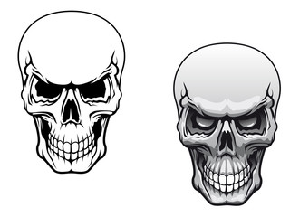 Human skulls