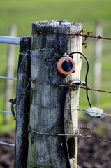 Electric Fence