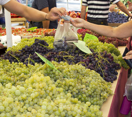 Buying fresh grape on sunny market