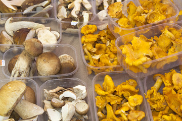 Boletus edulis and chanterelle mushrooms on market