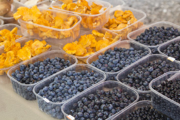 Fresh blueberries and chantarelles on market