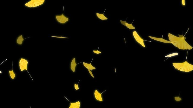 HD Looping Autumn Leaves Animation with Alpha Channel