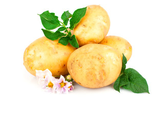 Young potato