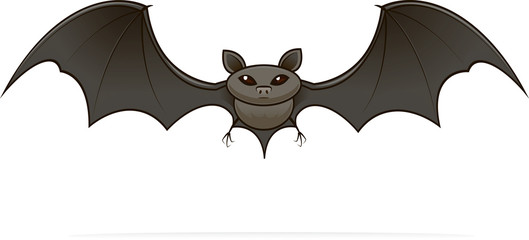 illustrated image of a bat