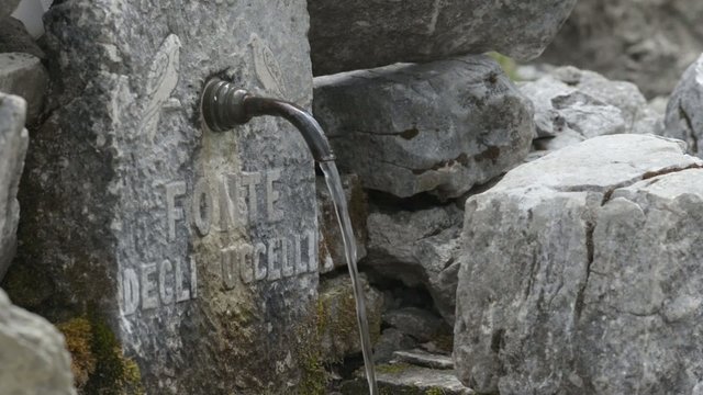 fonte degli uccelli