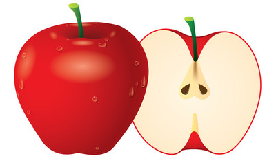 Apple vector