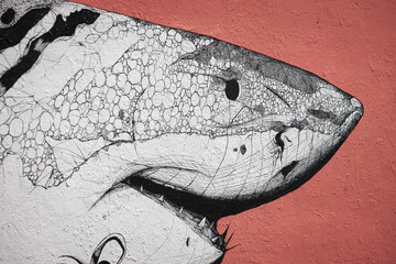 shark wall art