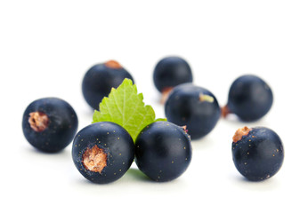 Black currant berries