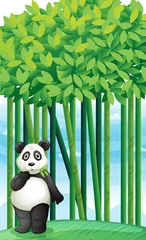 Crédence de cuisine en verre imprimé Animaux de la forêt Panda