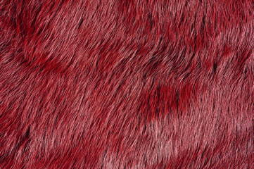 赤色の毛皮素材