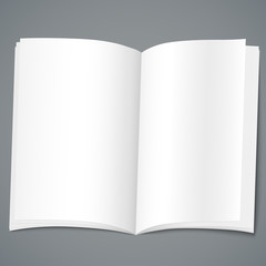 Empty brochure design template