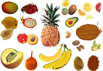 isolated set of tropic fruits
