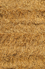 Stroh Detailaufnahme