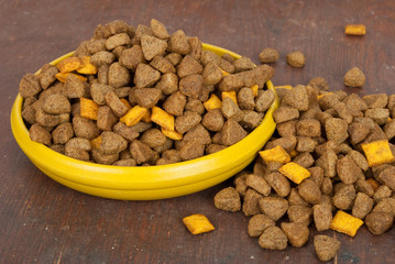 Dog food in bowl on wood background