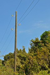 Obraz premium strommast