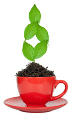 Red tea cup with the leaves