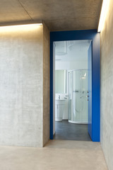 door of entry a flat, corridor, concrete wall