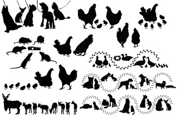 Animal birds dog cats hen duck rat goats