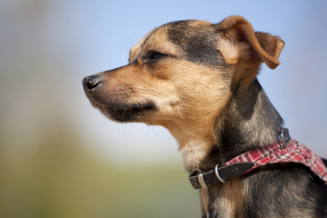 Den Wind um die Ohren wehen lassen