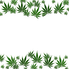 Marijuana Leaf Background
