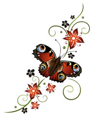 Ranke, flora, Blumen, Blüten, filigran, Schmetterling