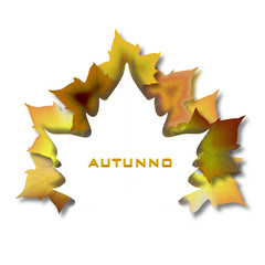 banner foglia di platano