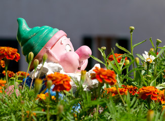 dwarf in a flowering garden - obrazy, fototapety, plakaty