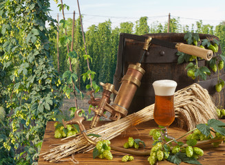 beer and hop garden