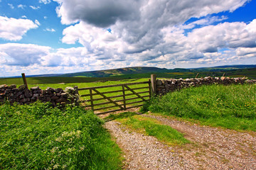Fototapeta premium Beautiful landscape with stone walls, England, UK