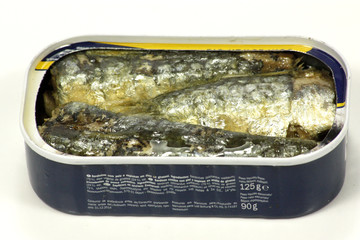 sardines