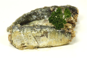 sardines