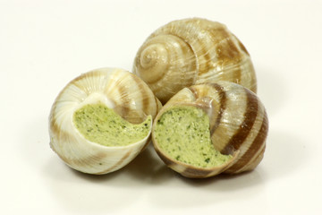 escargots