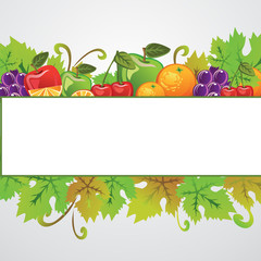 Fruits Banner