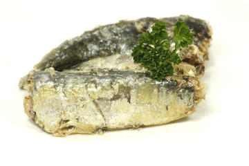 sardines