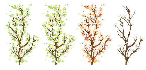 four branches of a tree showing the changing nature