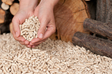 Pellets- biomass