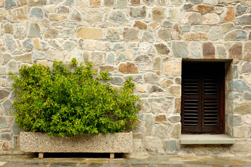 Fototapeta na wymiar Stone wall with window and plants