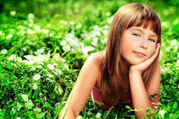 meadow flowers