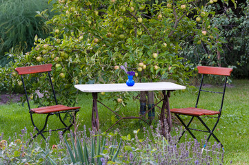 Klassischer Gartentisch und Stühle