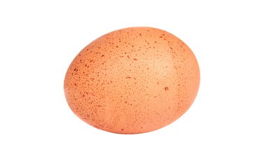 egg close up