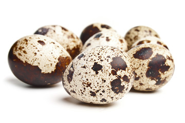 Group of quail eggs on the white background