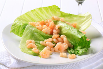 Shrimps on lettuce leaves
