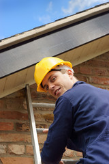 Builder or roofer climbing a ladder - 44210719