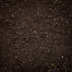 Soil background