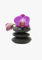 Fototapeta na wymiar beautiful pink orchid and stones tower on white